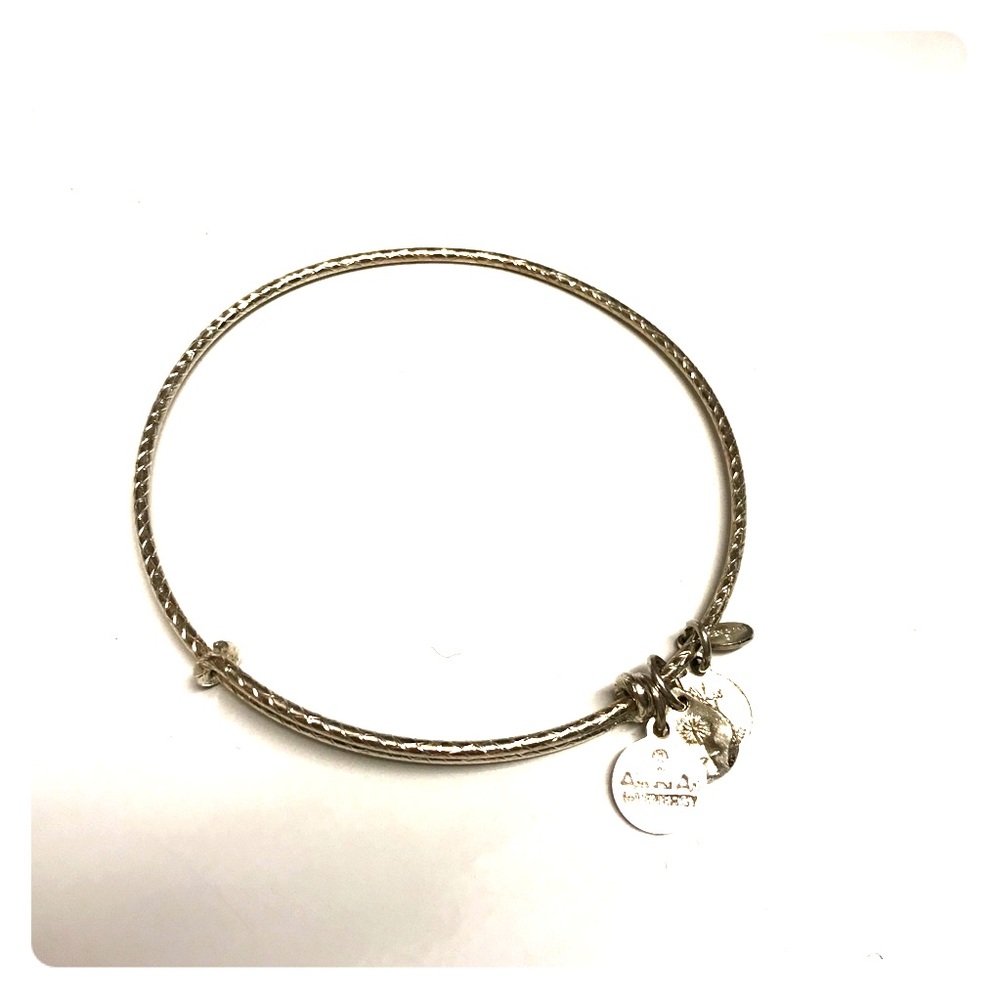 Alex and Ani